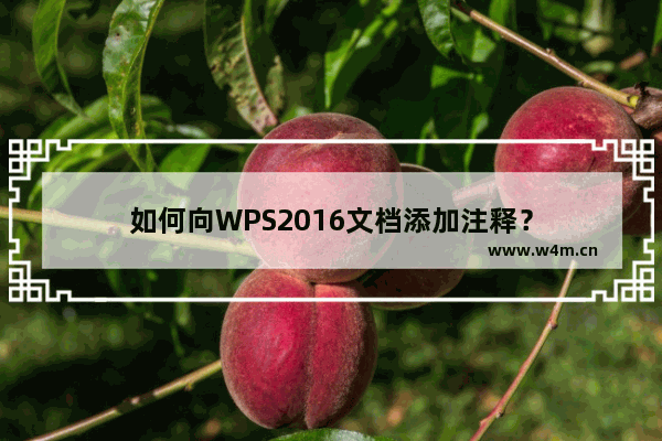 如何向WPS2016文档添加注释？