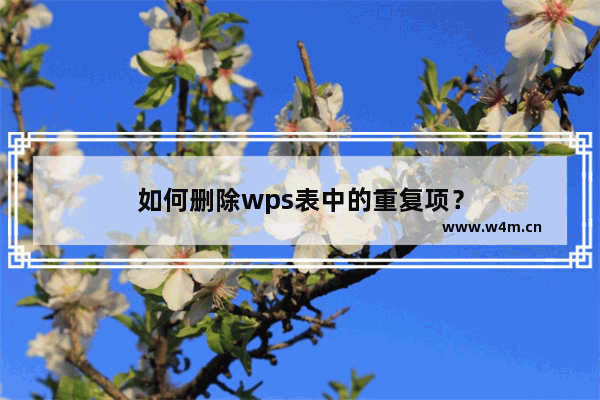 如何删除wps表中的重复项？