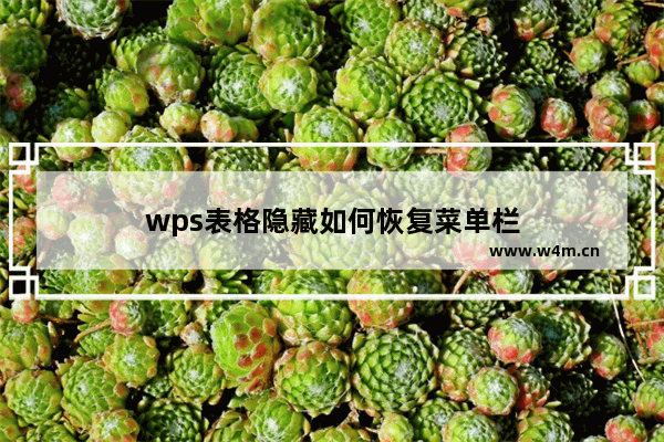 wps表格隐藏如何恢复菜单栏