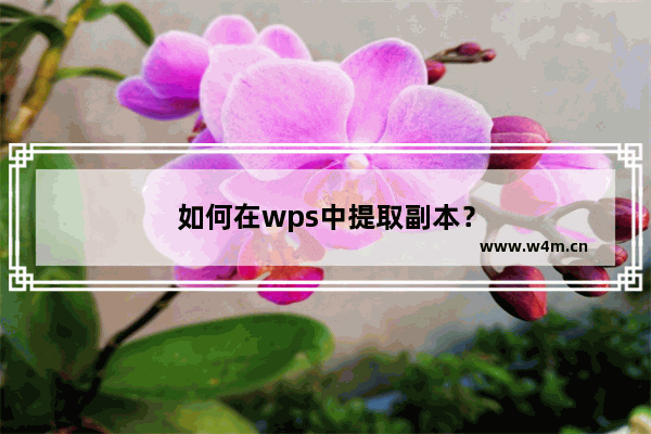 如何在wps中提取副本？