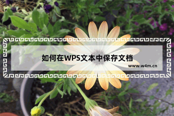 如何在WPS文本中保存文档