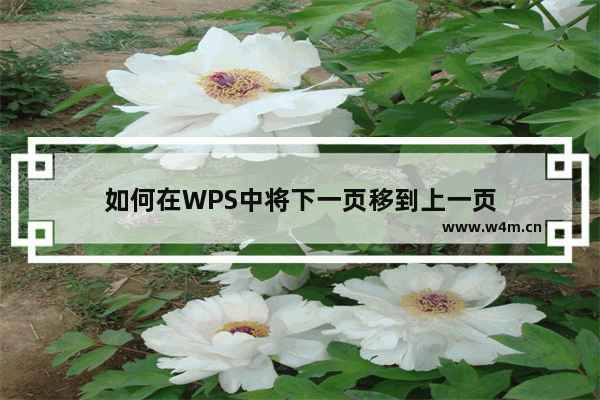 如何在WPS中将下一页移到上一页