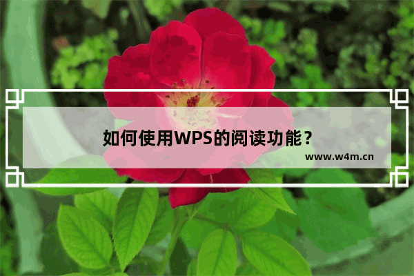 如何使用WPS的阅读功能？