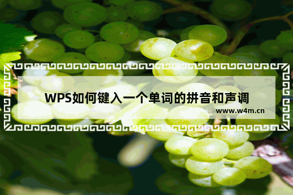 WPS如何键入一个单词的拼音和声调