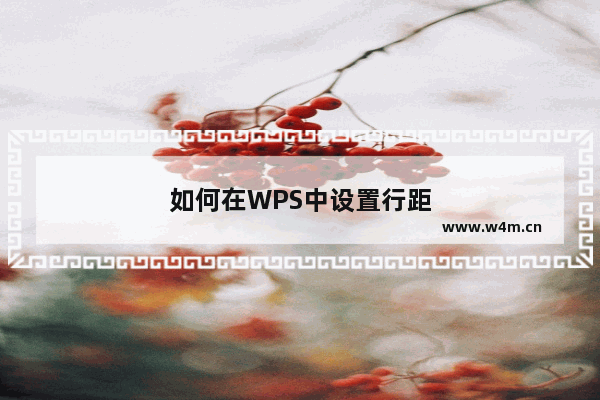 如何在WPS中设置行距