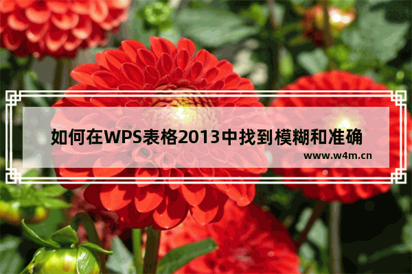 如何在WPS表格2013中找到模糊和准确