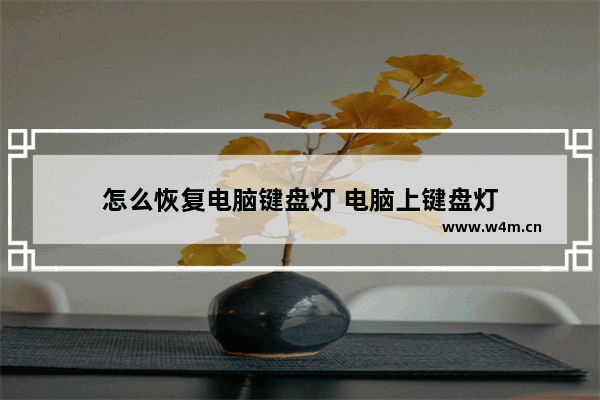 怎么恢复电脑键盘灯 电脑上键盘灯