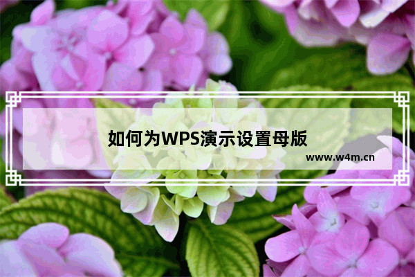 如何为WPS演示设置母版