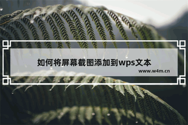 如何将屏幕截图添加到wps文本