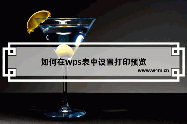 如何在wps表中设置打印预览