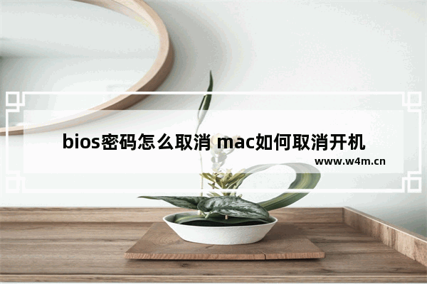 bios密码怎么取消 mac如何取消开机密码