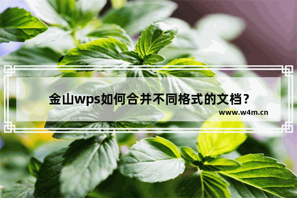 金山wps如何合并不同格式的文档？