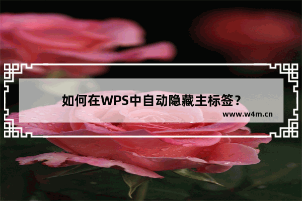 如何在WPS中自动隐藏主标签？