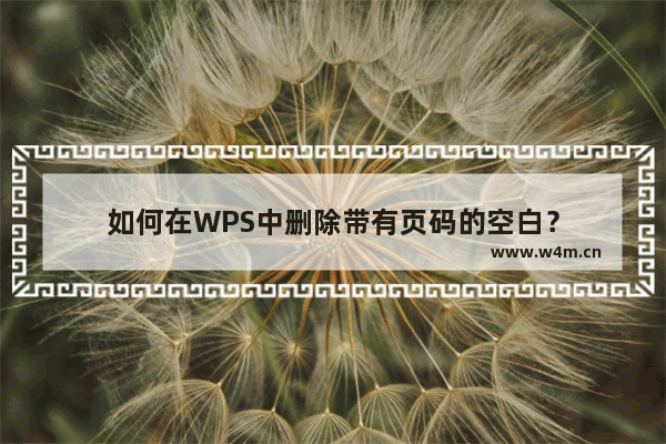 如何在WPS中删除带有页码的空白？