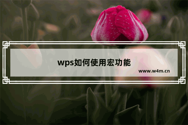 wps如何使用宏功能