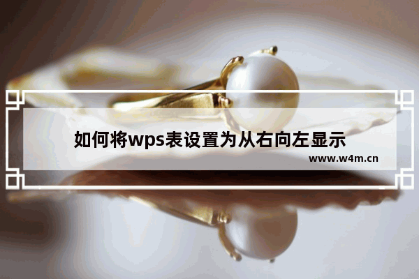 如何将wps表设置为从右向左显示