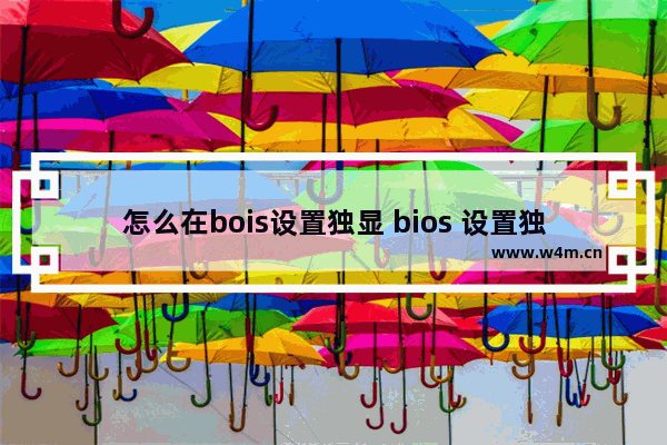 怎么在bois设置独显 bios 设置独显