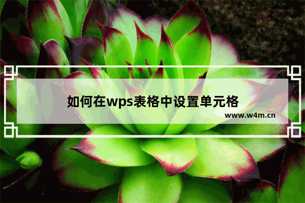 如何在wps表格中设置单元格