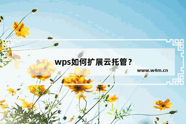 wps如何扩展云托管？