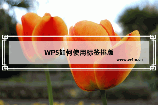 WPS如何使用标签排版