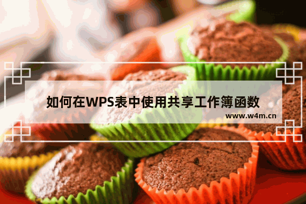 如何在WPS表中使用共享工作簿函数