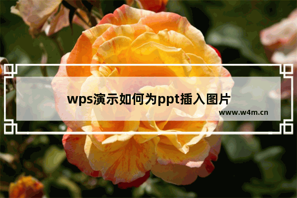 wps演示如何为ppt插入图片