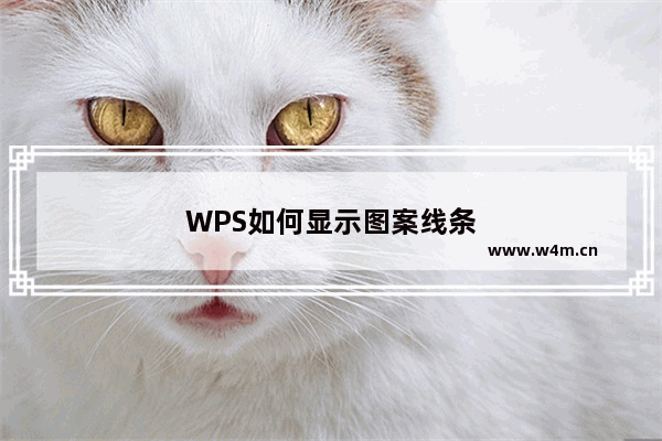 WPS如何显示图案线条