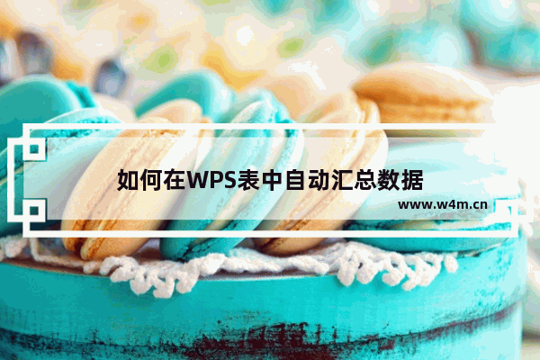 如何在WPS表中自动汇总数据