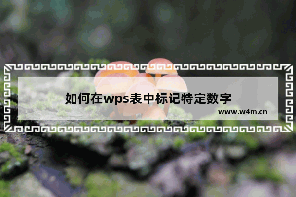 如何在wps表中标记特定数字