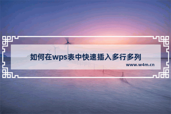 如何在wps表中快速插入多行多列