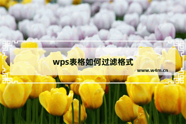 wps表格如何过滤格式