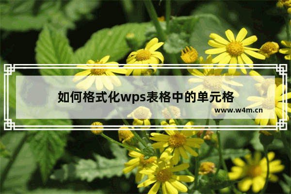 如何格式化wps表格中的单元格