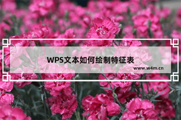 WPS文本如何绘制特征表