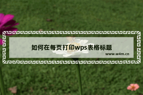 如何在每页打印wps表格标题