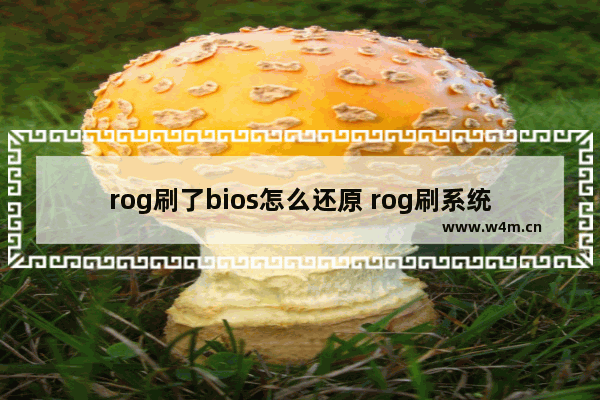 rog刷了bios怎么还原 rog刷系统