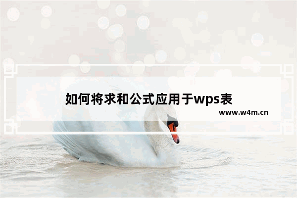 如何将求和公式应用于wps表