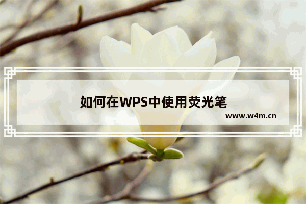 如何在WPS中使用荧光笔