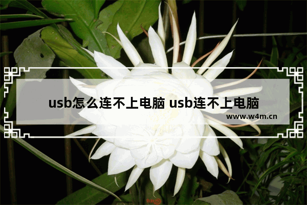 usb怎么连不上电脑 usb连不上电脑