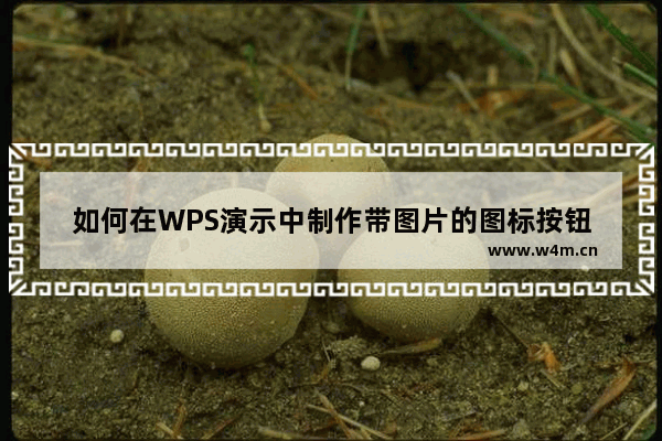 如何在WPS演示中制作带图片的图标按钮