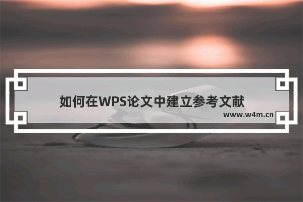 如何在WPS论文中建立参考文献