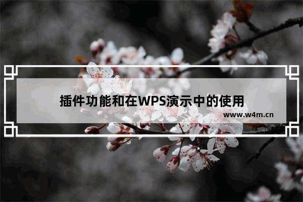 插件功能和在WPS演示中的使用