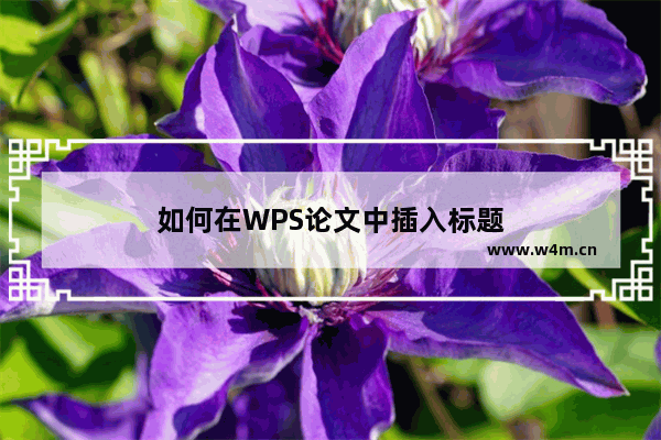 如何在WPS论文中插入标题