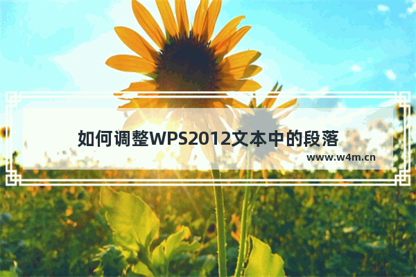 如何调整WPS2012文本中的段落