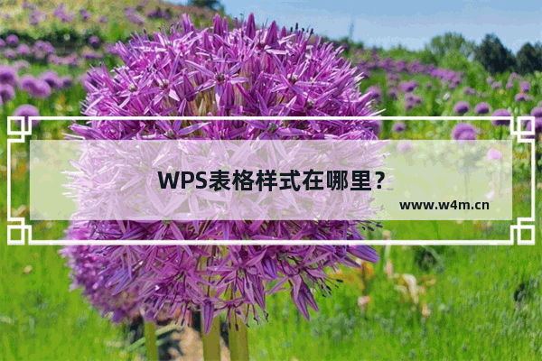 WPS表格样式在哪里？