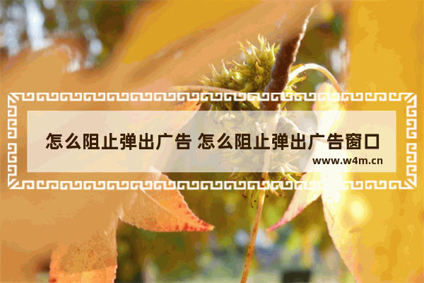 怎么阻止弹出广告 怎么阻止弹出广告窗口