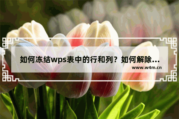 如何冻结wps表中的行和列？如何解除冻结