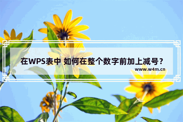 在WPS表中 如何在整个数字前加上减号？