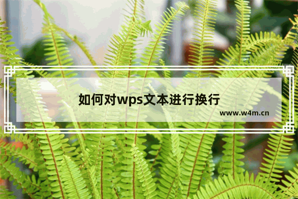 如何对wps文本进行换行