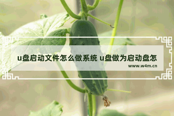 u盘启动文件怎么做系统 u盘做为启动盘怎么操作