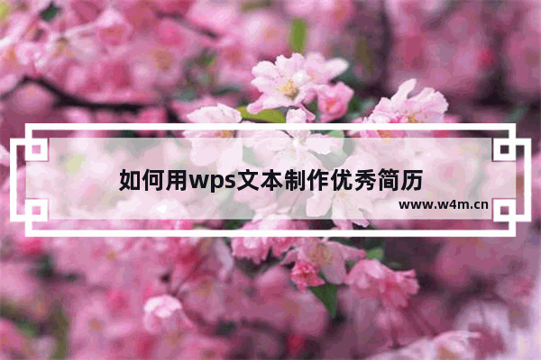 如何用wps文本制作优秀简历